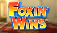 Foxin Wins